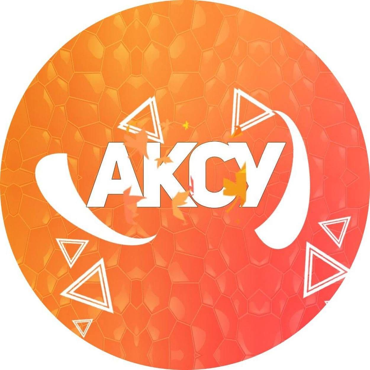 Анапский колледж сферы услуг