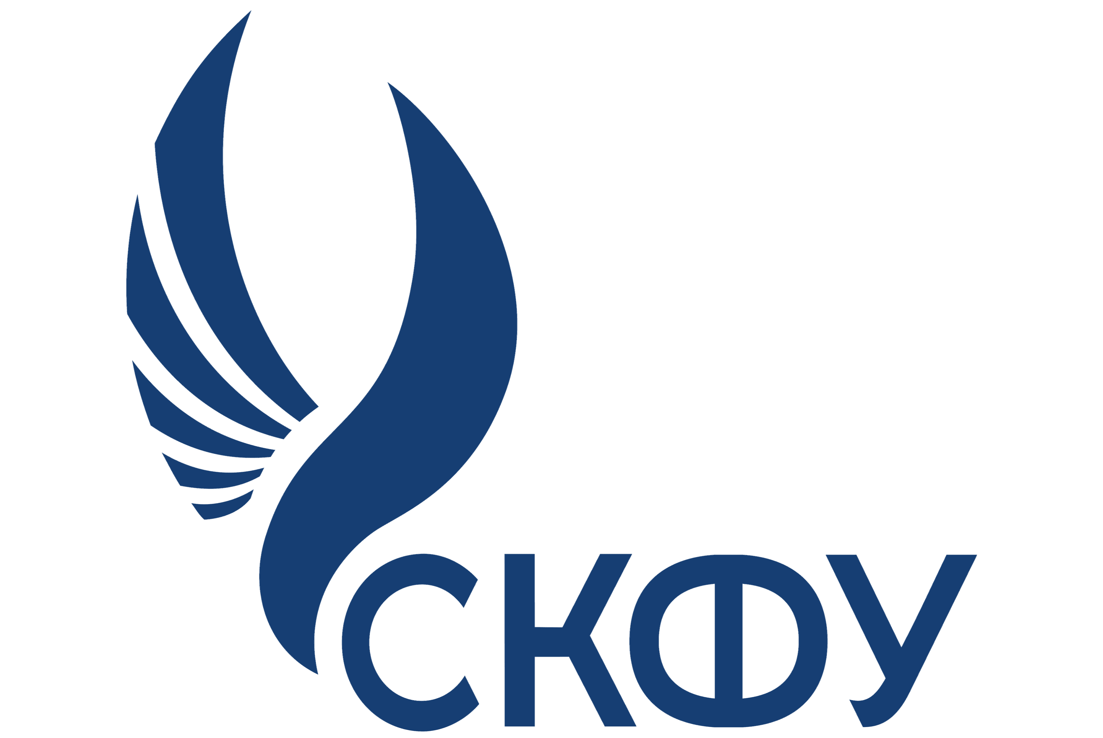 Северо-Кавказский федеральный университет (СКФУ)