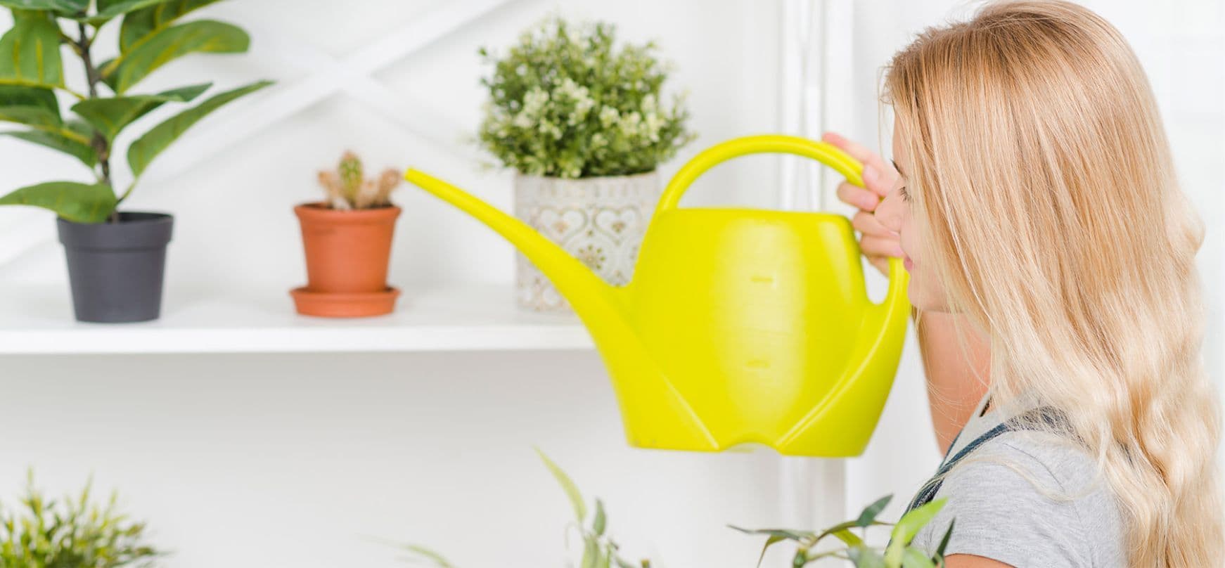 Студенты НГТУ НЭТИ создали инновационную систему ухода за комнатными растениями